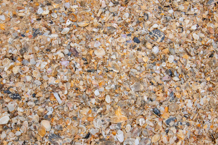 Sand texture background Beach in Pak Phanang district at at Nakornsrithammarat, Thailand