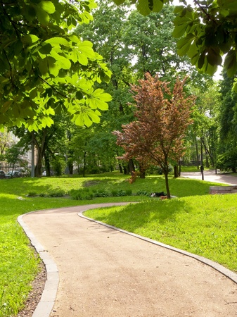 Footpath in parkの写真素材