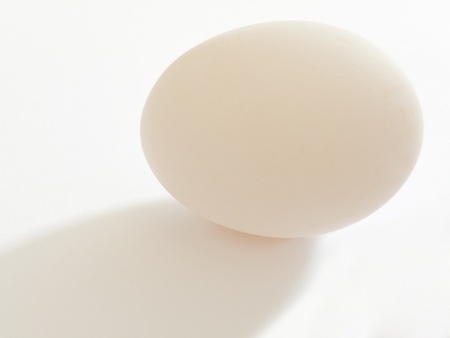 hen's egg in  white backgroundの写真素材