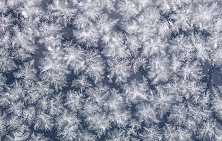 snowflake on dark  backgroundの写真素材