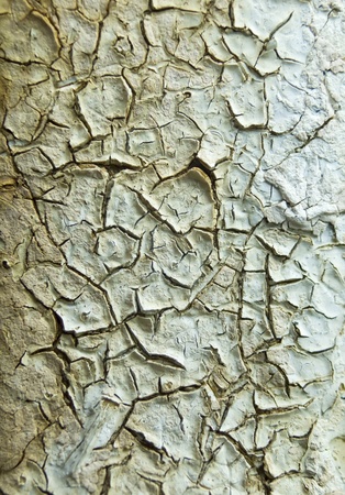 old painted surface  with cracksの写真素材