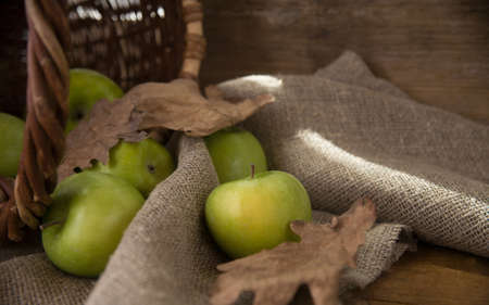 Fresh green apples with basket, dry leaves and burlap backgroundの写真素材