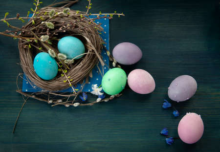 Flat lay with blue, pink, green and lilac easter eggs and spring flowers in a nestの写真素材