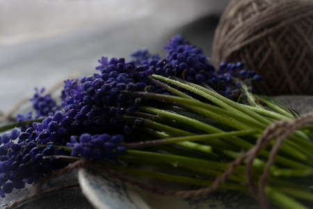 bunch of muscari on a wooden table, seletve focusの写真素材