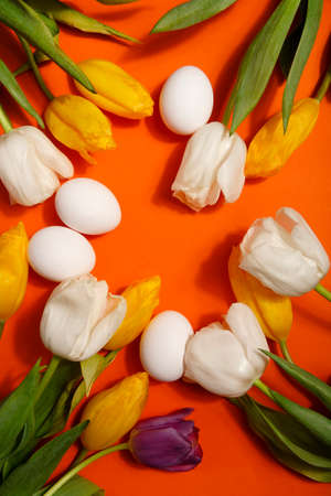 White and yellow tulips and white eggs on bright orange background, Easter celebrationの写真素材