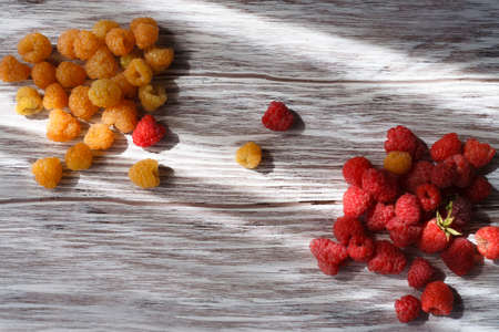 Two handfuls of fresh red and yellow raspberry on white wooden table.