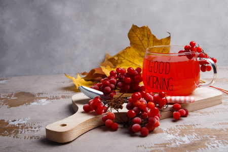 A glass cup with viburnum fruit tea and ripe red viburnum berries on gray background,の写真素材