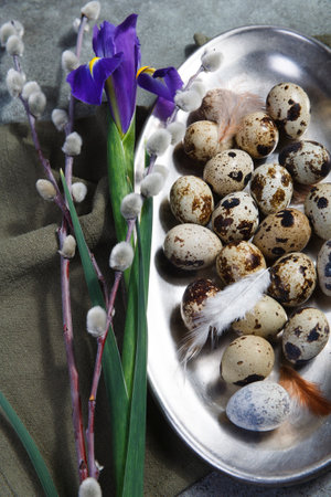 Quail eggs on metal plate with willow branches and iris flower, Easter decor concept, top view, selective focus.の写真素材
