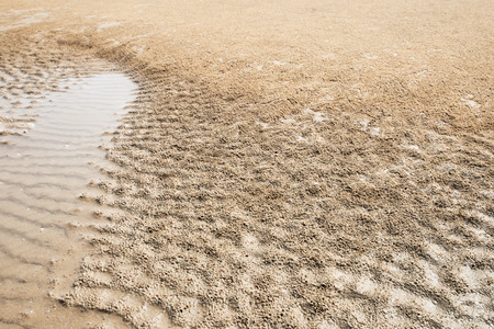 Sand texture and background