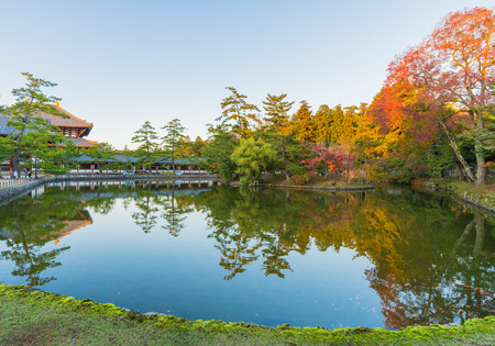 Autumn gardenの写真素材