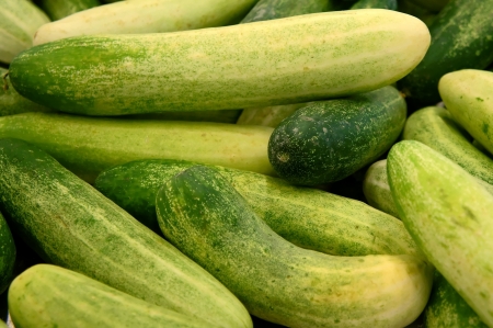 Green cucumbers in the marketの写真素材