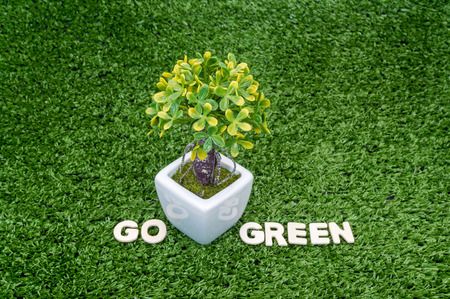 Eco concept. Go green words on green grass with small treeの写真素材