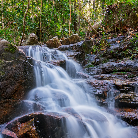 Cascading waterfall in the jungle