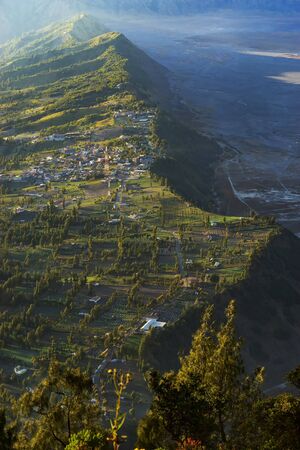 Beautiful misty morning view of Cemoro Lawang village in Bromo Tengger Semeru National Park in East Java Indonesia from Penanjakan view point.の写真素材