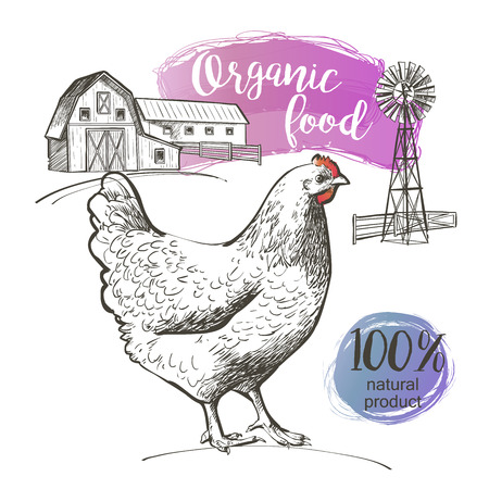 Chicken and farm. Vector illustration in vintage styleのイラスト素材