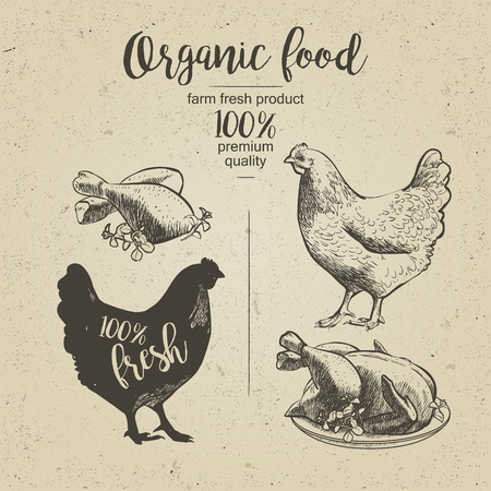 Chicken. Roasted Chicken. Vector illustration in vintage styleのイラスト素材