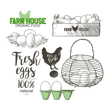 Eggs in the vintage antique-french-country wire egg gathering basketのイラスト素材