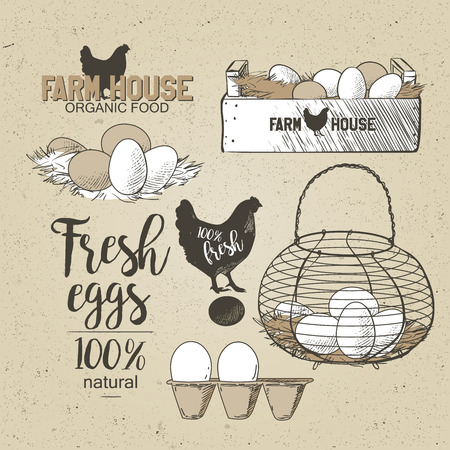 Eggs in the vintage antique-french-country wire egg gathering basketのイラスト素材