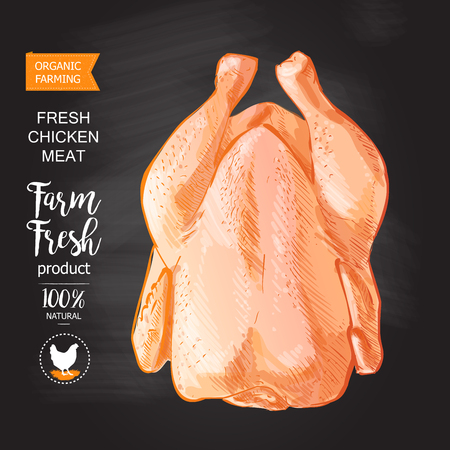chicken meat vectorのイラスト素材