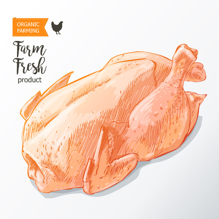 chicken meat vectorのイラスト素材