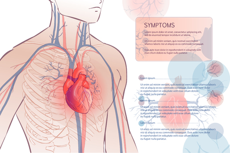 human circulatory vascular systemのイラスト素材