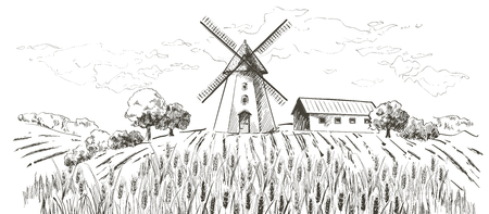 Rural landscape field wheat. Hand drawn vector Countryside landscape engraving style illustration.のイラスト素材