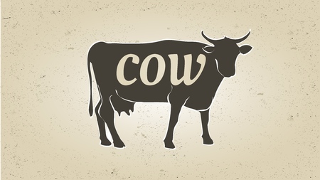 Cow in graphic line style, hand drawing vector image