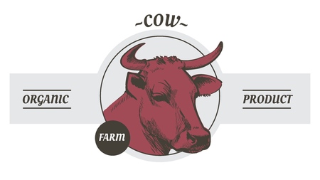 Cow in graphic line style, hand drawing vector imageのイラスト素材