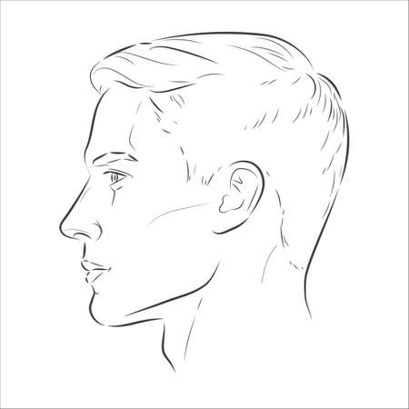 Set of man face portrait three different angles and turns of a male head. Close-up vector line sketch. Different view front, profile, three-quarter of a boy.のイラスト素材