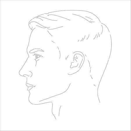 Set of man face portrait three different angles and turns of a male head. Close-up vector line sketch. Different view front, profile, three-quarter of a boy.のイラスト素材