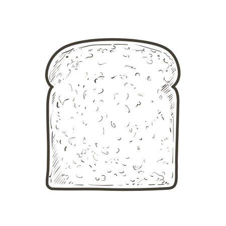 Vector Sliced bread toast. Slice of a whole wheat bread. Bakery, piece of roasted crouton for sandwich snack. Realistic illustration image.のイラスト素材