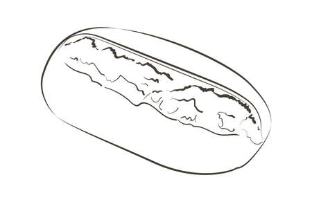 Vector loaf of bread. Rye rustic bread or whole grain baked bread. Logo, icon. Sketch realistic line vintage illustrationのイラスト素材