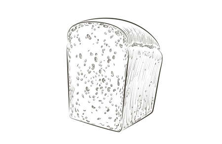 Vector sliced bread. The cut loaf of square toast bread for sandwich. Logo, icon. Sketch realistic line vintage illustrationのイラスト素材