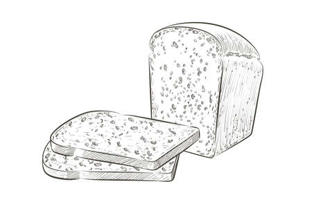 Vector sliced bread. The cut loaf of square toast bread for sandwich. Logo, icon. Sketch realistic line vintage illustrationのイラスト素材