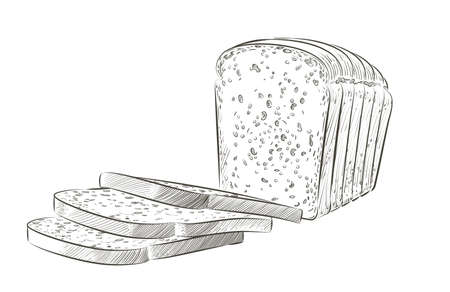 Vector sliced bread. The cut loaf of square toast bread for sandwich. Logo, icon. Sketch realistic line vintage illustrationのイラスト素材