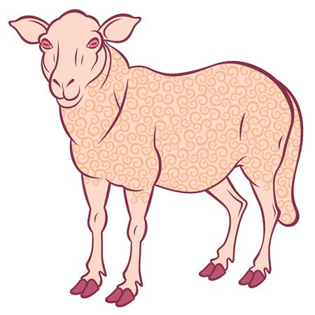 cute sheep with golden curl - symbol 2015 - vector illustration for designのイラスト素材