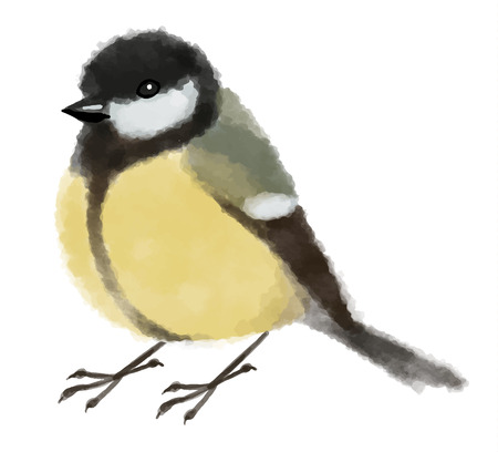 Watercolor illustration tit or titmouse - Hand drawn vector illustrationのイラスト素材