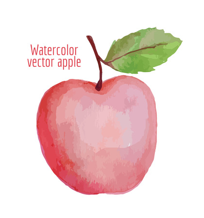 Big pink apple with leaf - watercolor vectorのイラスト素材