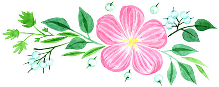 Pink delicate flower with white berries and green leaves branch - watercolor vectorのイラスト素材