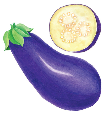 Hand drawn watercolor eggplants on white background - vector illustrationのイラスト素材