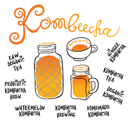 Kombucha (Hongo) in different glass containers - Natural homemade healthy drink for health - hand drawing vector illustrationのイラスト素材