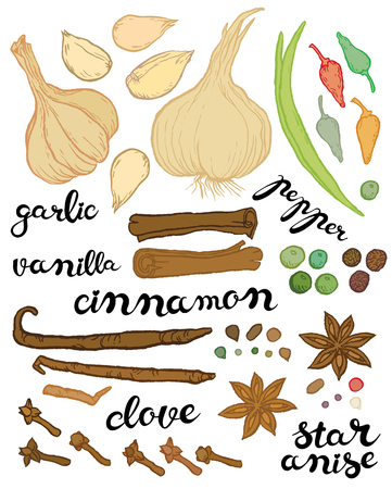 Large Set Of Herbs And Es Vector Hand Drawing Ilration Large Set Of Herbs And Es Vector Hand Drawing Ilration With Exclusive Written