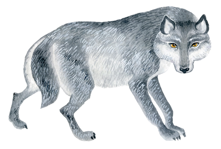 wolf figure - watercolor vector painting