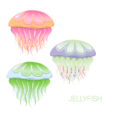 fantastic jellyfish - vector illustrations of marine life for designのイラスト素材