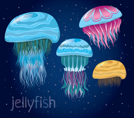 various fantastic jellyfish - Set of vector illustrations of marine life for designのイラスト素材