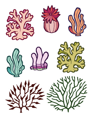 vector set of sea plants algae corals sea anemonesのイラスト素材