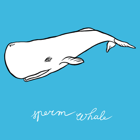 Cachalot or   whale - sketch doodle line artのイラスト素材