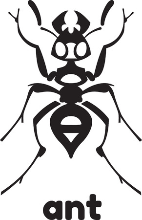 ant insect vector illustration - set of household pests in pure styleのイラスト素材