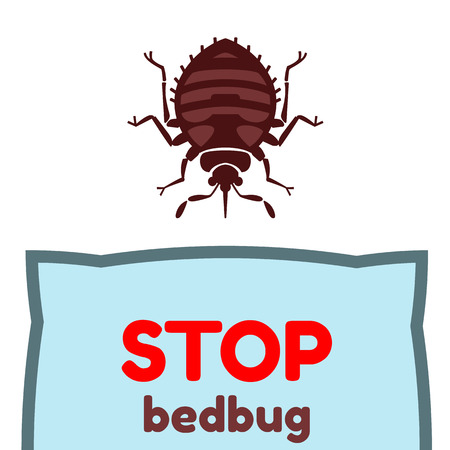 Home bedbug vector illustration - set of household pests in pure styleのイラスト素材
