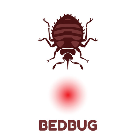 Home bedbug vector illustration - set of household pests in pure styleのイラスト素材